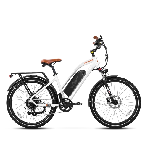 Citypro E-43 eBike